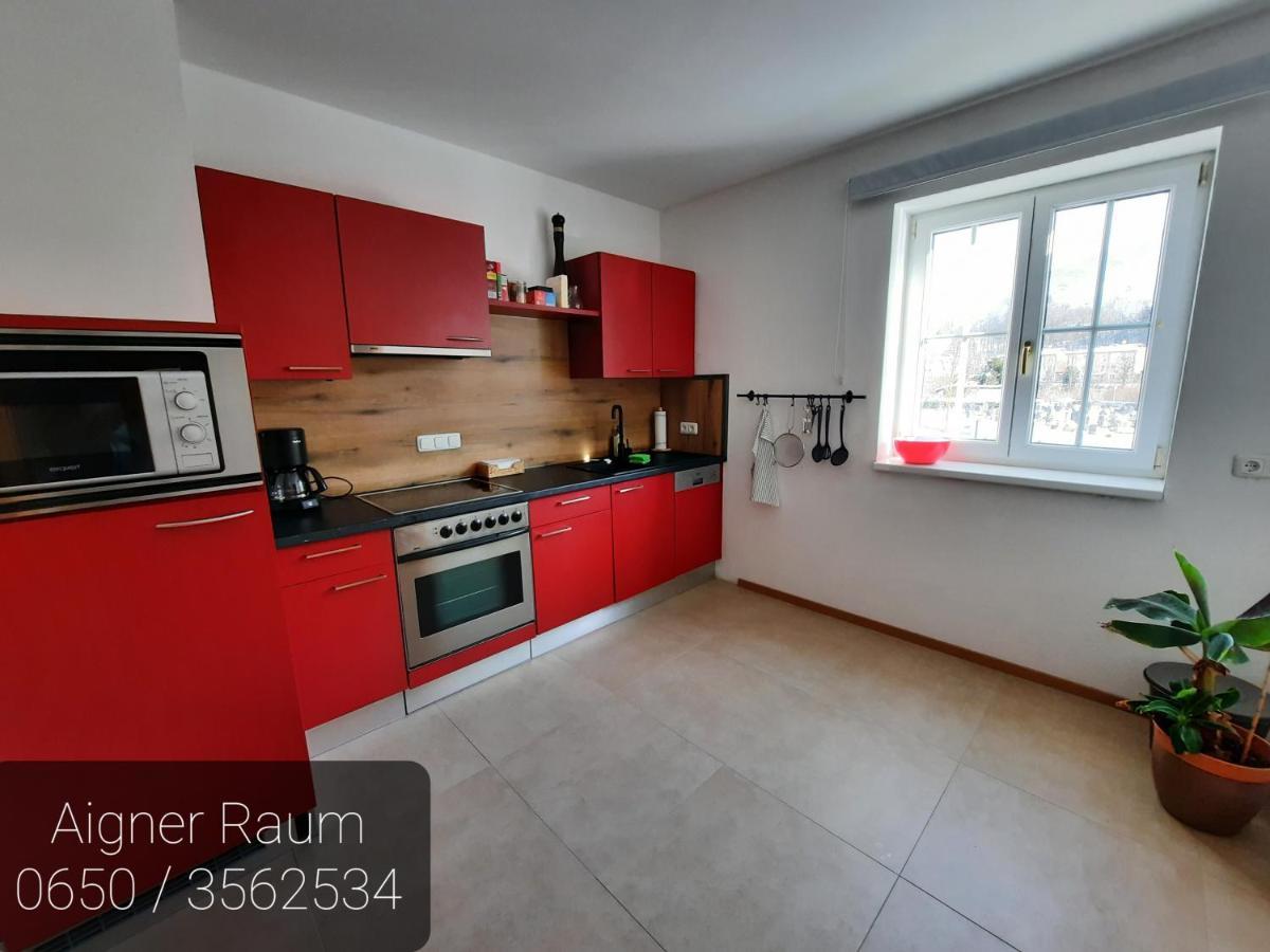 Apartment Aigner Bad Goisern Dış mekan fotoğraf